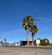 RV park with palm trees